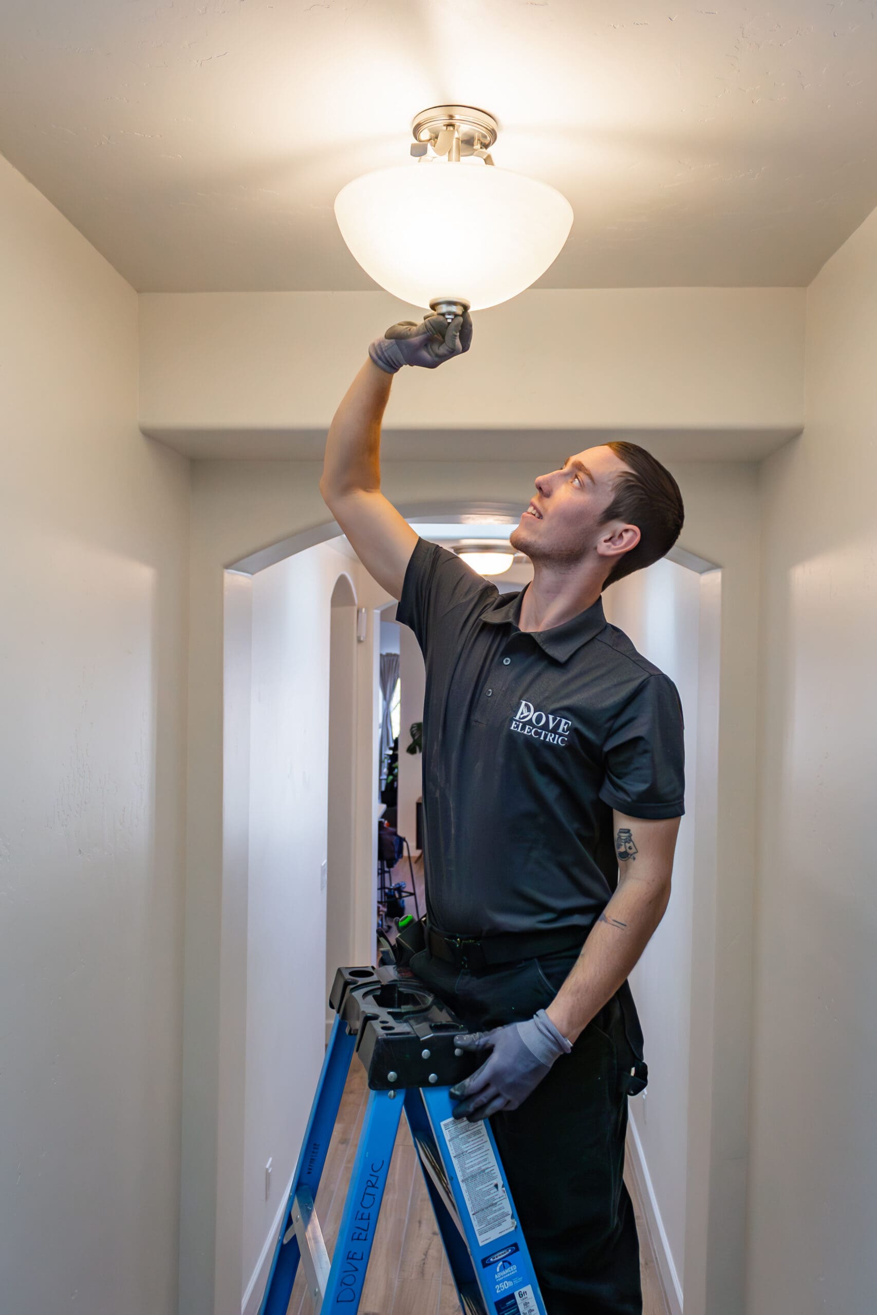 Dove Electric - Electrical in Albuquerque